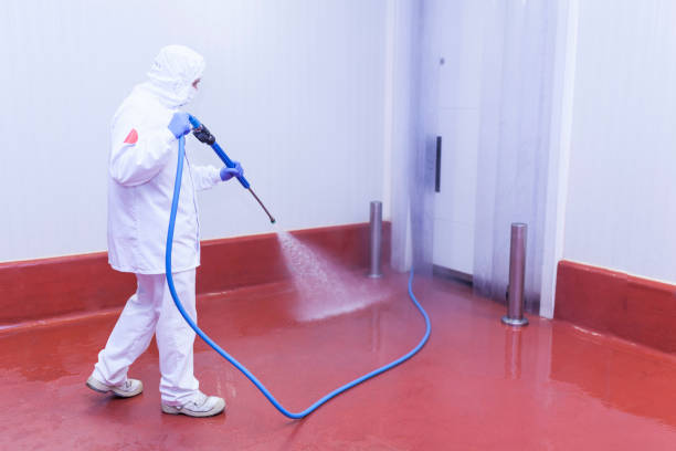 Trusted Grove City, FL Pressure Washing Services Experts